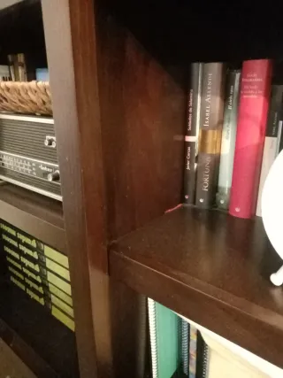 Librería de madera oscura