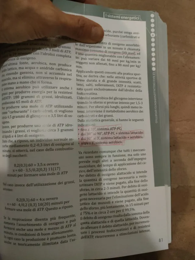 Le basi dell'allenamento sportivo. Manuale del ...