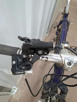 Bicicleta Morada Montaña