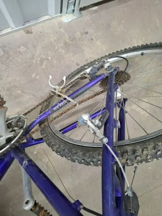 Bicicleta Morada Montaña