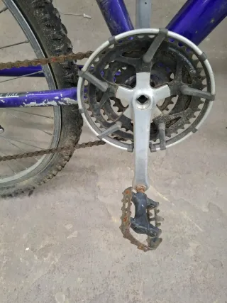 Bicicleta Morada Montaña