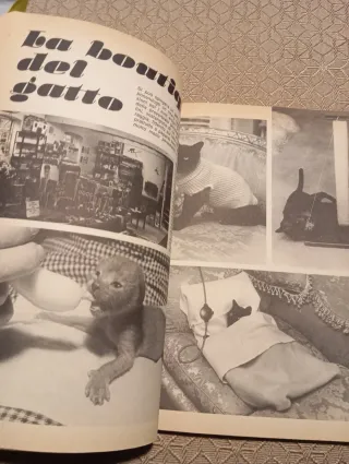 Super almanacco Paperino n.14