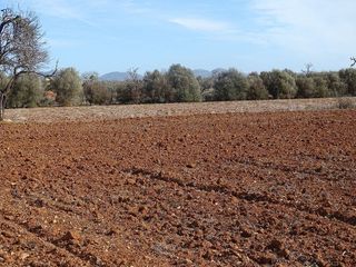 Casa en venta en Campos