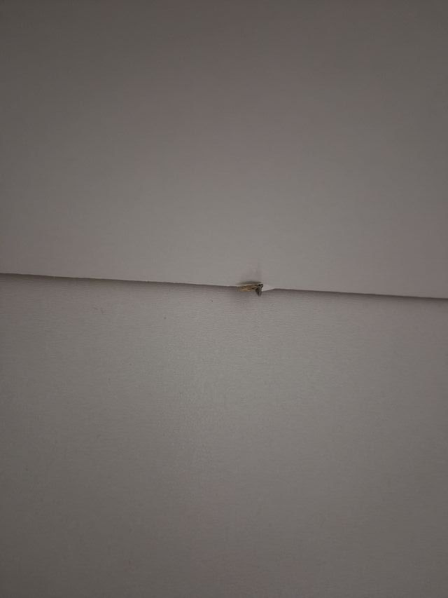 Estantería Billy Ikea Blanca Montada