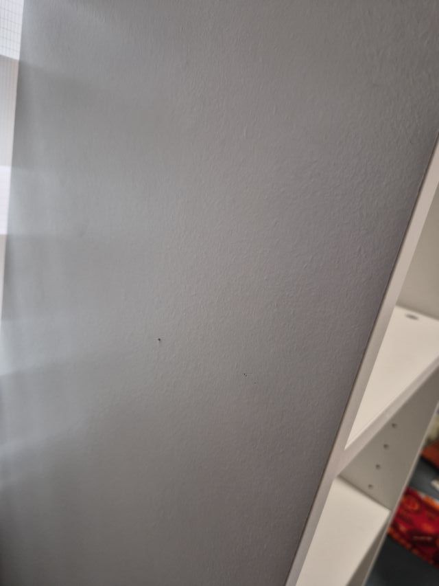 Estantería Billy Ikea Blanca Montada