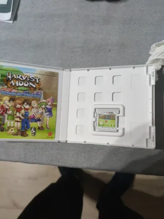 Harvest Moon: El Pueblo del Árbol Celeste 3DS