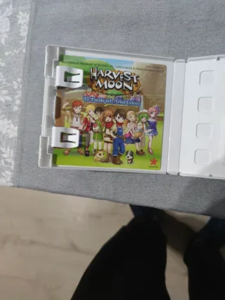 Harvest Moon: El Pueblo del Árbol Celeste 3DS