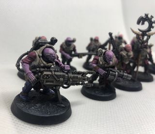 Neófitos Híbridos pintados