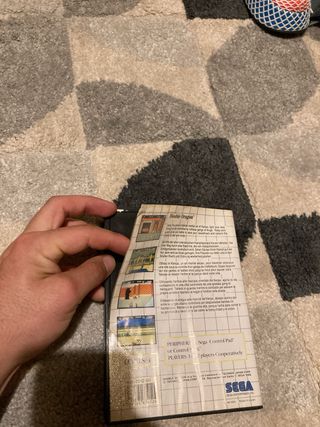 Double Dragon Master System Sega