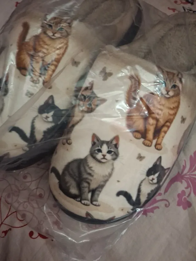 Zapatillas mujer gato talla 39 sin estrenar