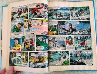 FAMOSAS NOVELAS BRUGUERA. Edición año 1984