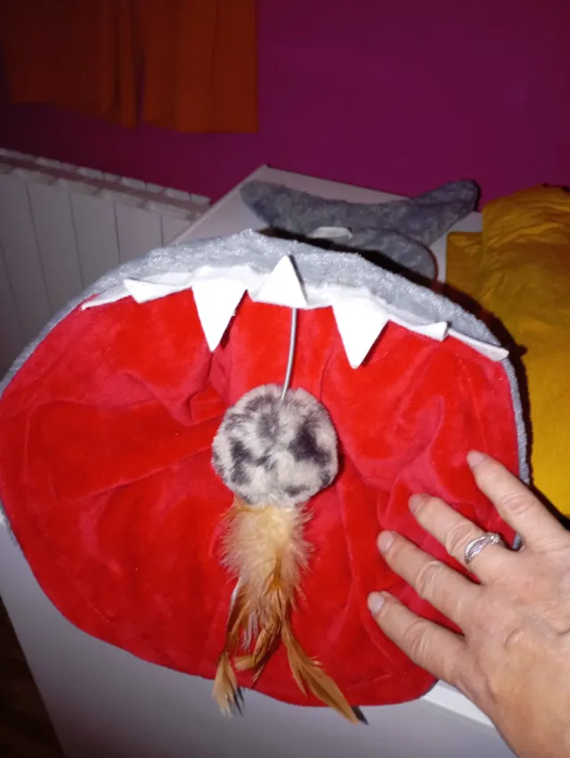 Tiburón para Mascotas