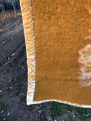 Coperta Lanerossi Matrimoniale Beige ruggine