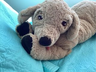 Peluche Perro Grande Ikea