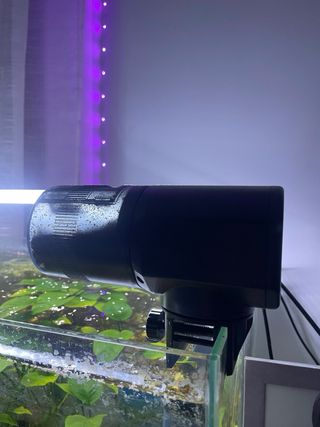 Acuario con depuradora y calentador