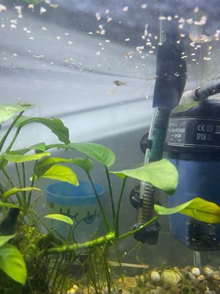 Acuario con depuradora y calentador