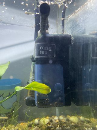 Acuario con depuradora y calentador