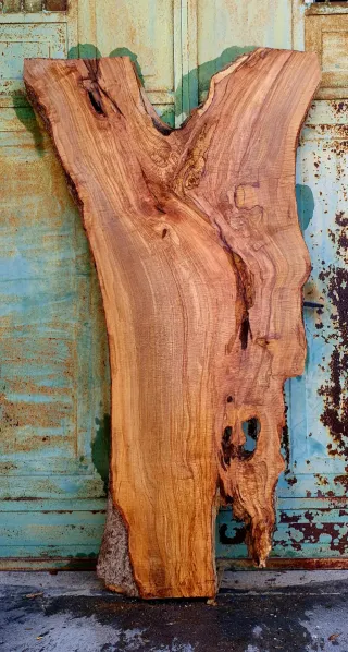 Asse di Olivastro Salentino denominata 4