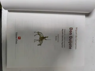 Don Quijote - Cucaña (Cucana) (Spanish Edition)