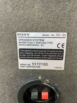 Altavoces Sony SS-S9 (Pareja) - LEER DESCRIPCION