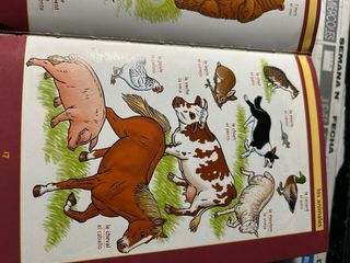 diccionario francés español de Larousse con imagen