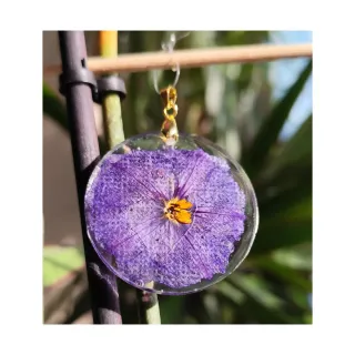 Pendientes y colgante flor natural campanilla