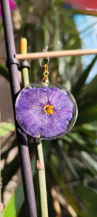 Pendientes y colgante flor natural campanilla