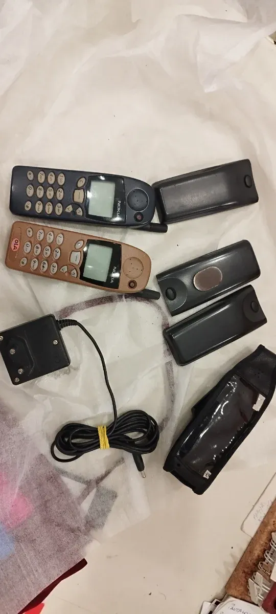 Nokia 5110 - Blu e Beige