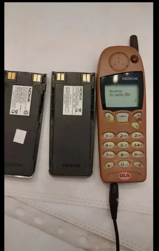 Nokia 5110 - Blu e Beige