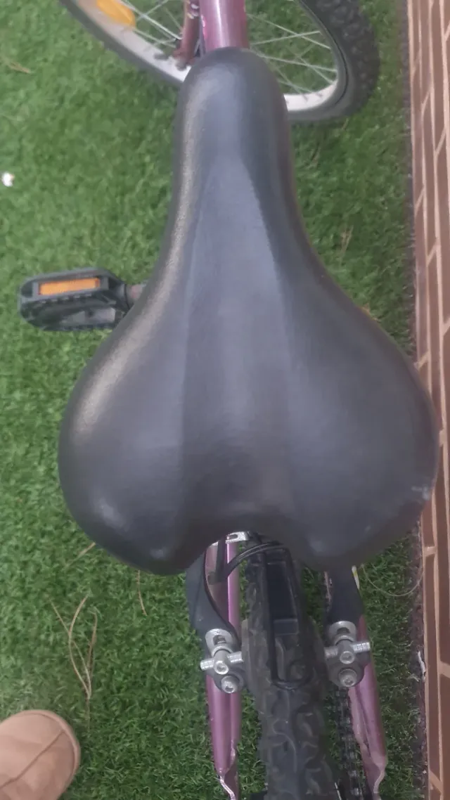 Bicicleta infantil morada