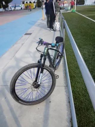 Bicicleta wholfbike carbono