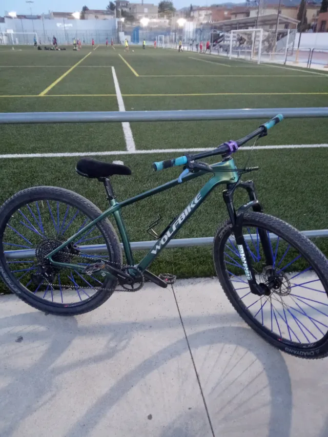 Bicicleta wholfbike carbono