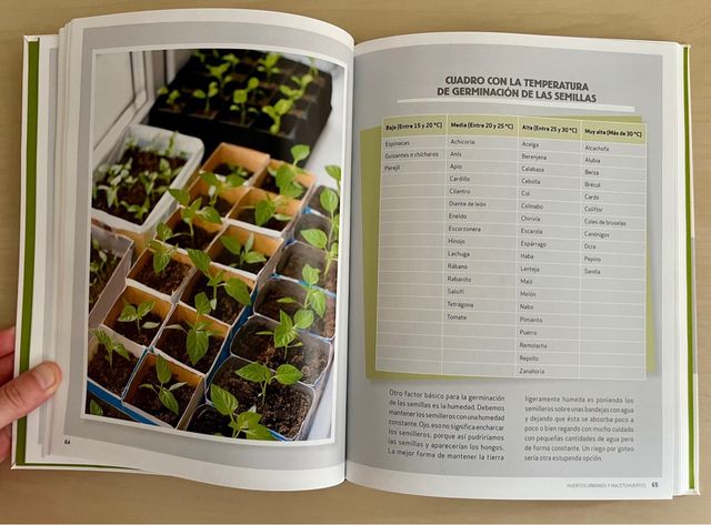 Huertos urbanos y macetohuertos