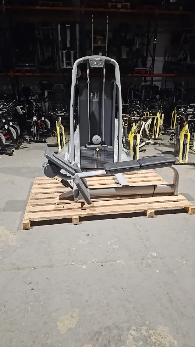 Máquina de polea Technogym Remo