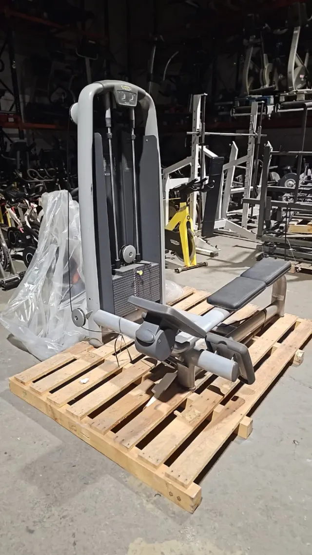 Máquina de polea Technogym Remo