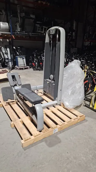 Máquina de polea Technogym Remo