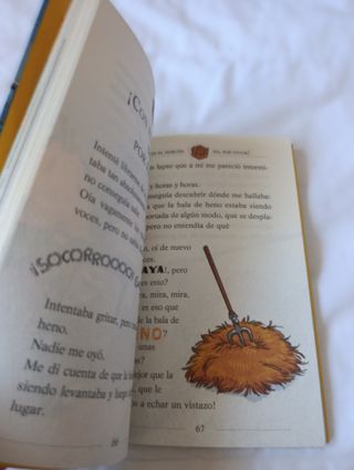 La carrera más loca del mundo: Geronimo Stilton 6