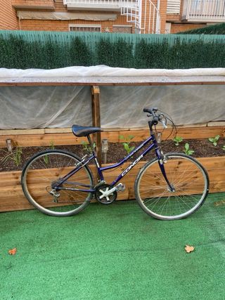 Bicicleta CONOR Morada