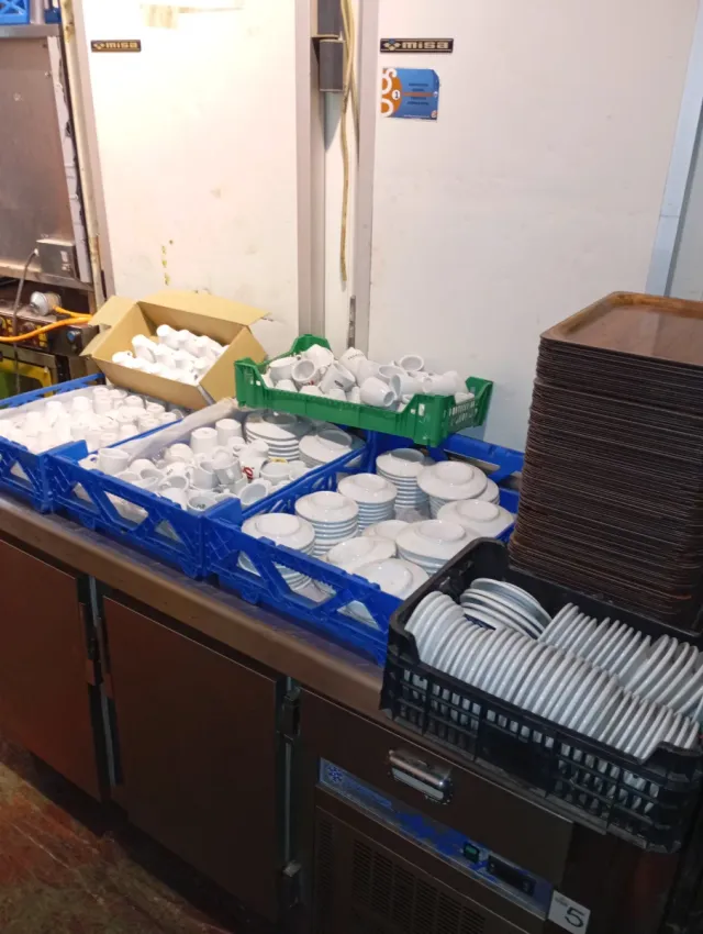 Lote de 150 tazas,14o  platos 140 bandejas