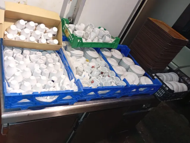 Lote de 150 tazas,14o  platos 140 bandejas
