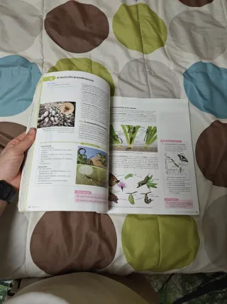 Libro Biología y Geología 1 Bachillerato SM