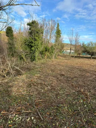 Terreno rústico en venta