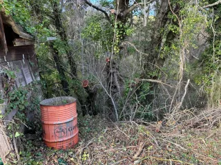 Terreno rústico en venta