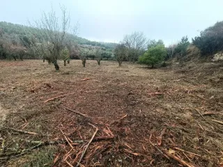 Terreno rústico en venta