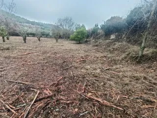 Terreno rústico en venta