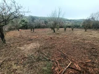 Terreno rústico en venta