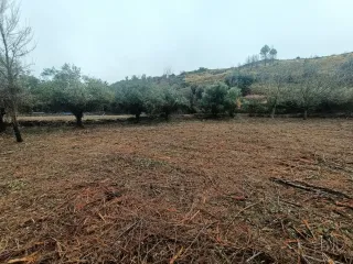 Terreno rústico en venta