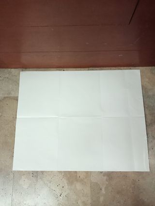 Póster Magic The Gathering Dissension