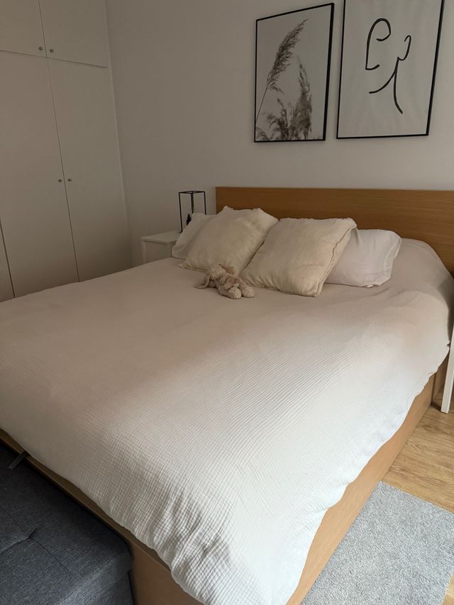 Canapé cama MALM 160x200