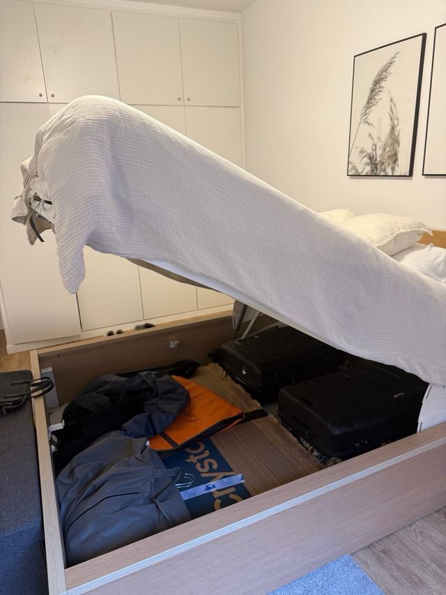 Canapé cama MALM 160x200